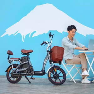 HIMO C16 Electric Bicycle