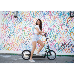 Razor Ecosmart Electric Scooter