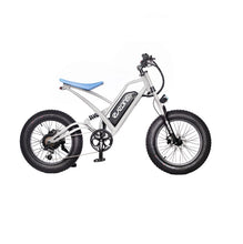 Load image into Gallery viewer, BlueBee II Electric Bike
