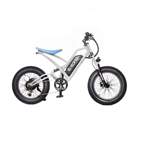 BlueBee II Electric Bike