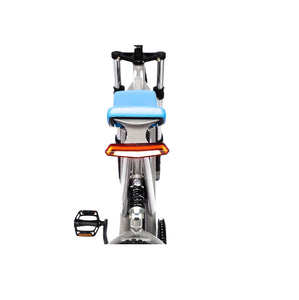 BlueBee II Electric Bike