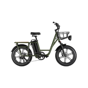 FIIDO T1 Electric Bike